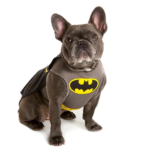 DC Comics Batman Pet Costume (M) - NWT 🐶🐾 - Picture 1 of 11